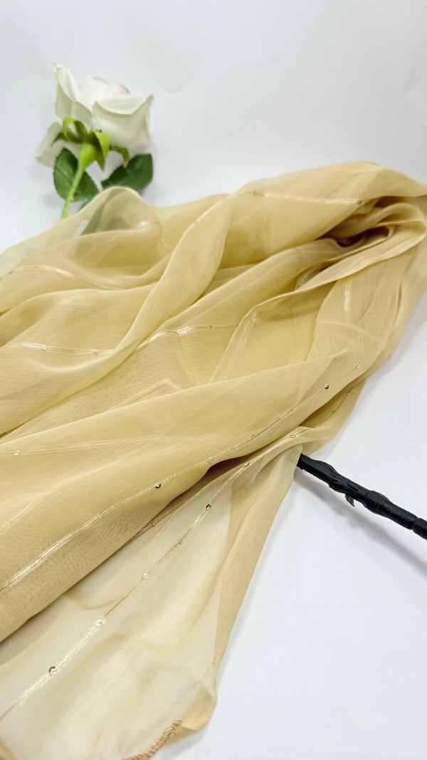 Sequence chiffon Duppata