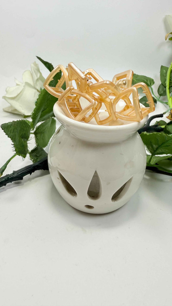 Shiny Finishing Hair cacher Bow shape